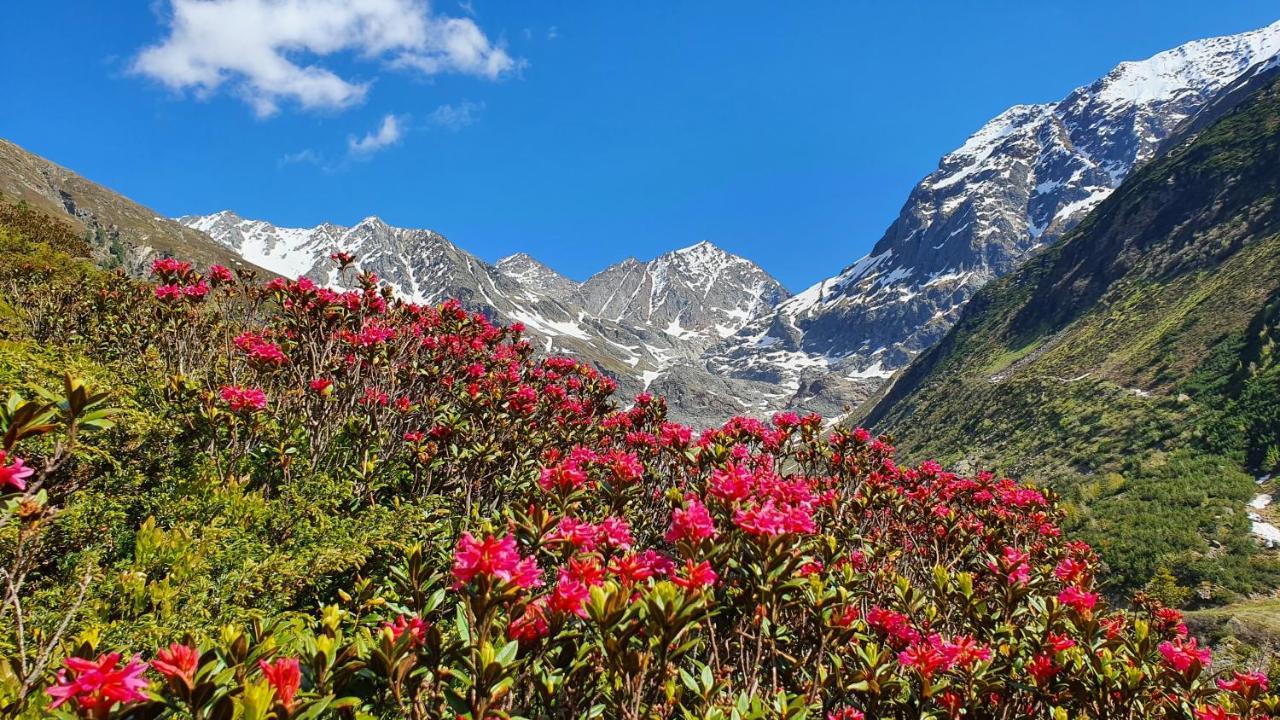 Gasthof Pension Santeler Sankt Leonhard im Pitztal Ngoại thất bức ảnh